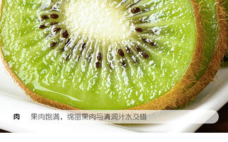 綠心獼猴桃 湘西特產(chǎn)的應(yīng)季鮮美