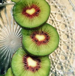 舟山紅心獼猴桃熟啦，邀您共品秋日甜美