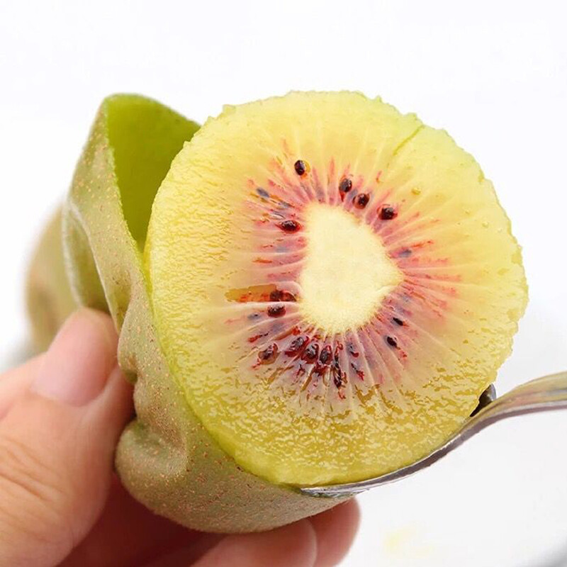 品味“帆兒莊園”紅心獼猴桃 四川浦江的自然饋贈(zèng)，甜蜜與營(yíng)養(yǎng)的融合